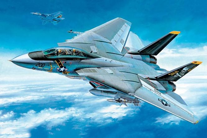 Huvudbild GRUMMAN F-14A TOMCAT. L=398mm. SKALA 1/48
